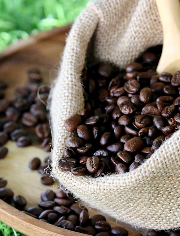 قهوه روبوستا کنگو