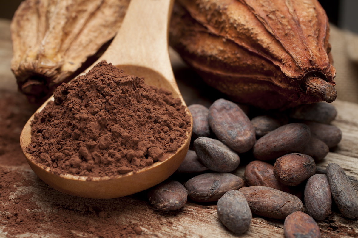 Edible cocoa powder