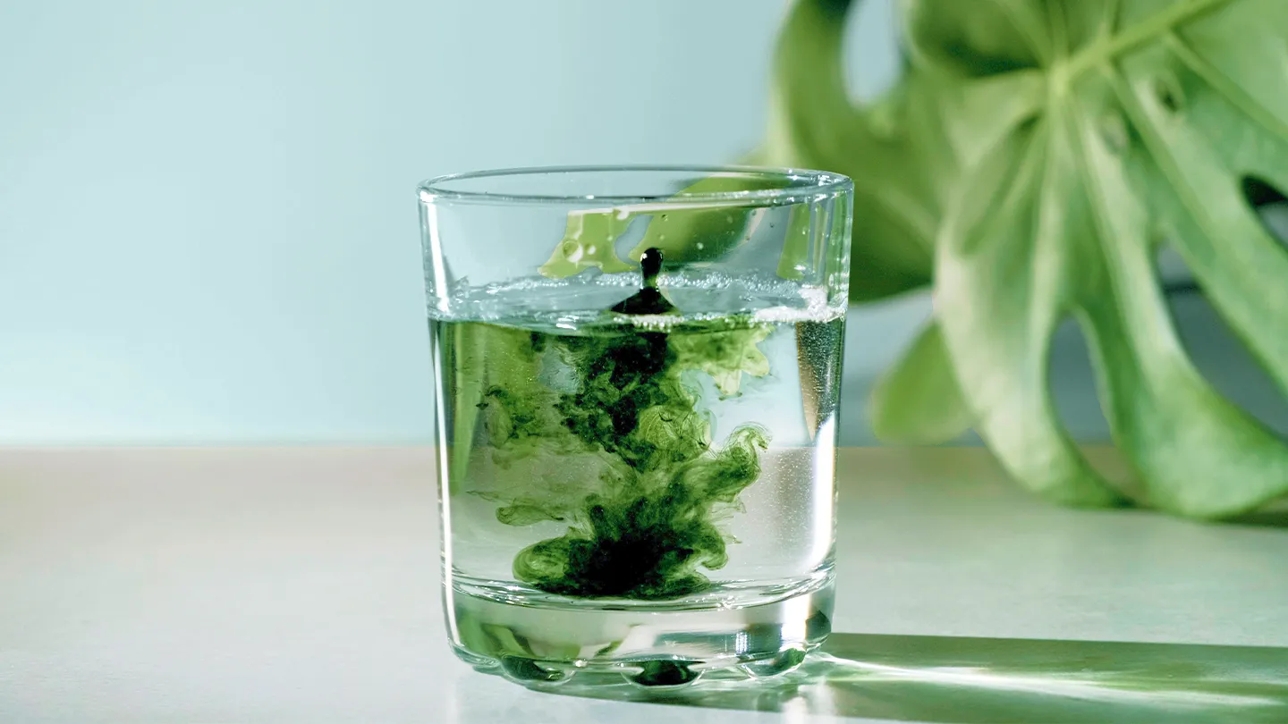 Chlorophyll