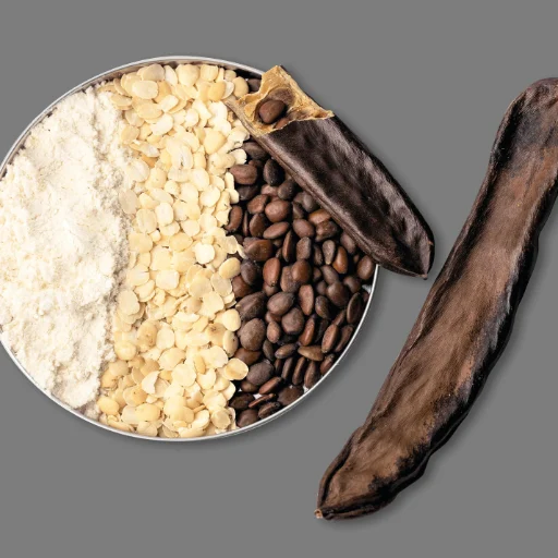 Locust Bean Gum for dairies