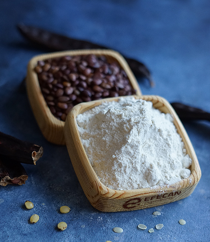 Locust Bean Gum for dairies