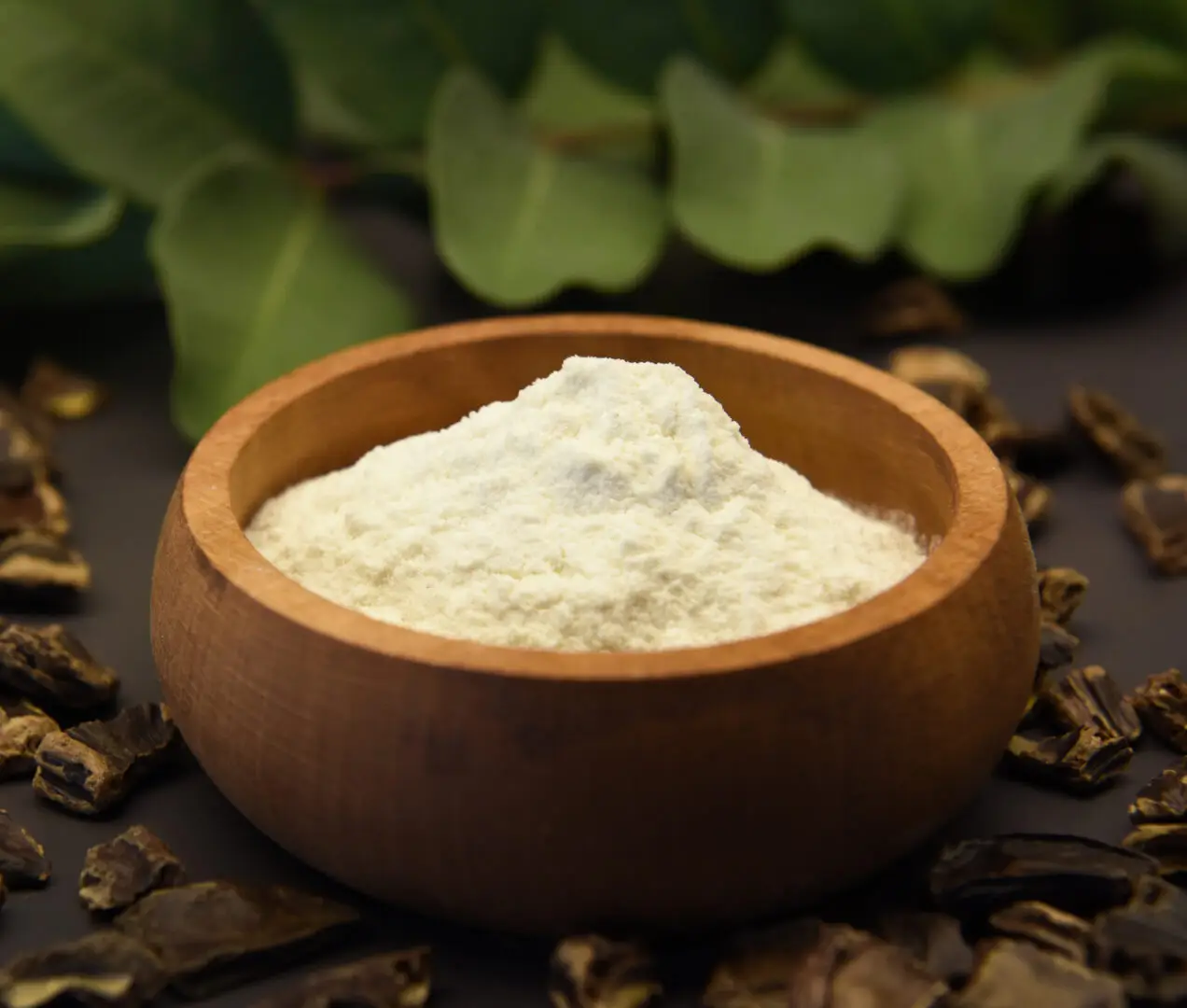 Locust Bean Gum for dairies