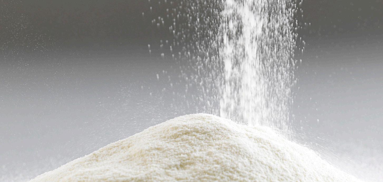 MFGM Milk Fat Globule Membrane Powder Direct from the manufacturer