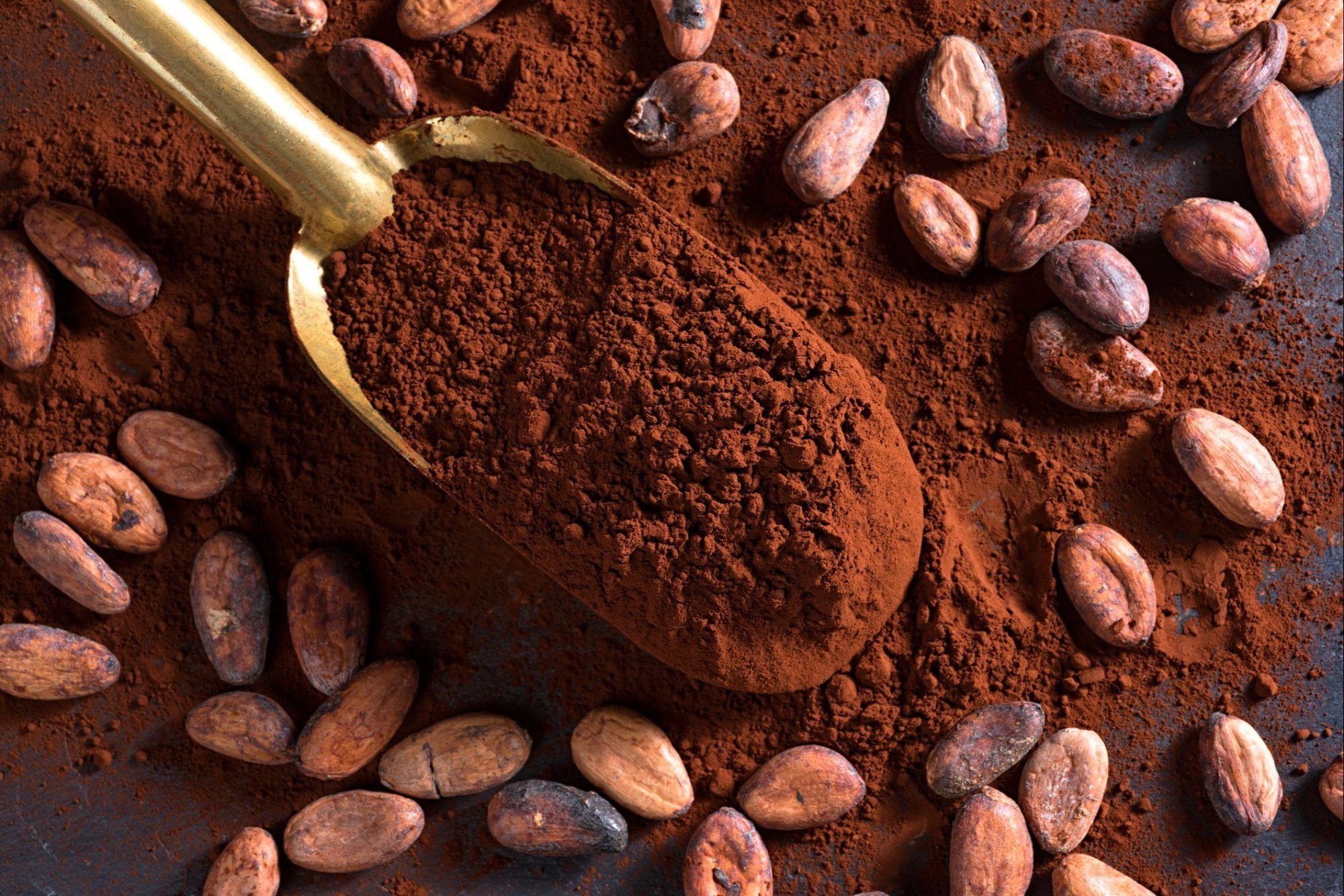 The best dark cocoa powder