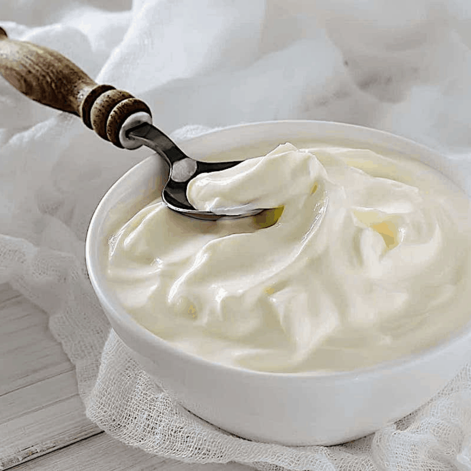 Yogurt powder