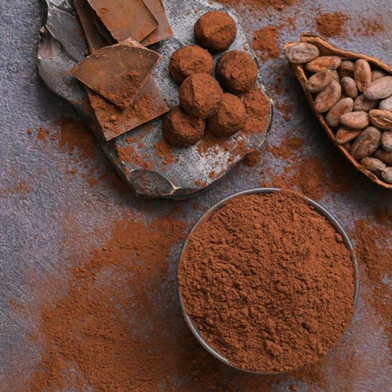 Latamarko cocoa powder production plant