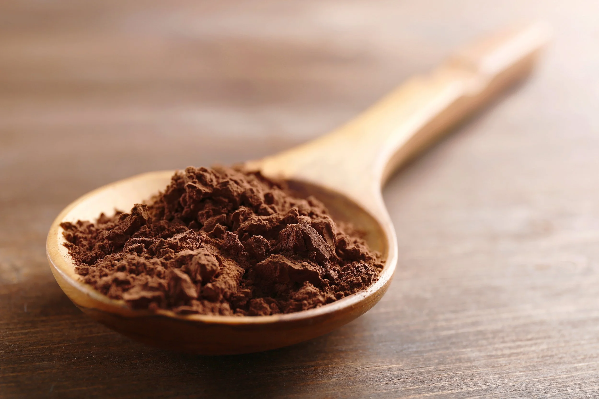 Cocoa powder supplier