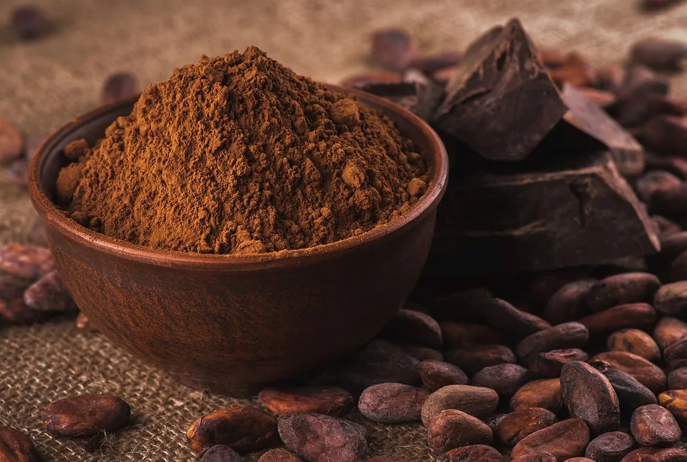 Wholesale price of cocoa powder