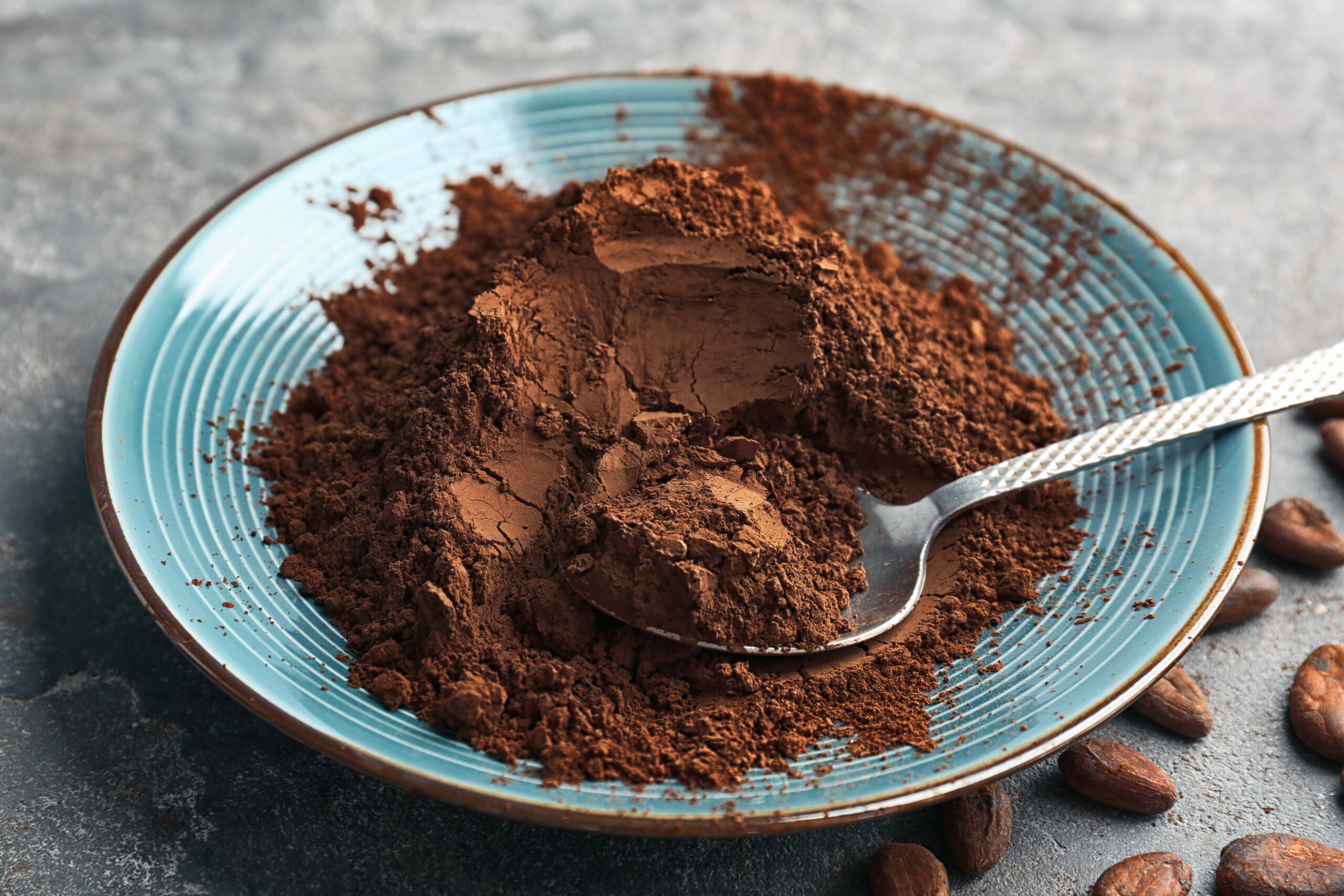 Latamarko cocoa powder production plant