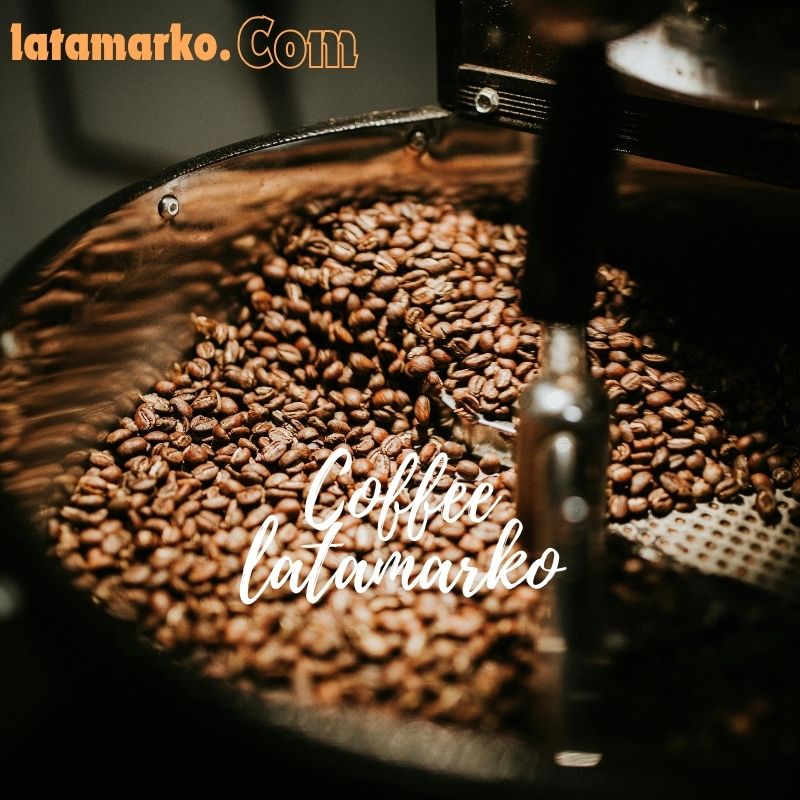 تفاوت قهوه عربیکا و روبوستا تفاوت قهوه عربیکا و روبوستا