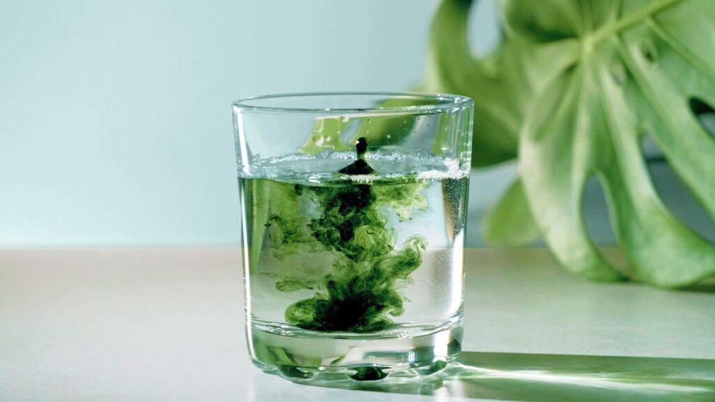 Chlorophyll