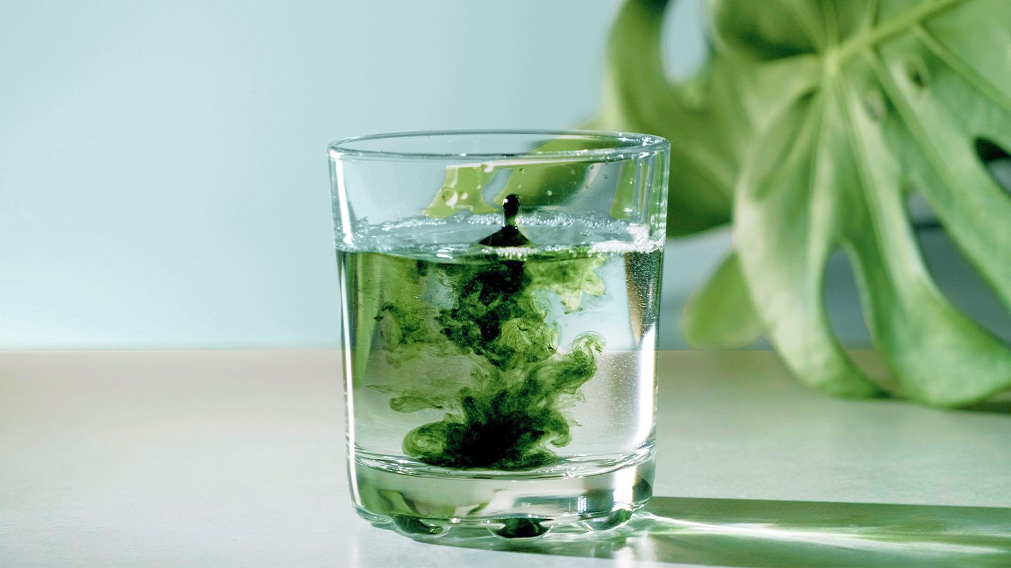 Chlorophyll