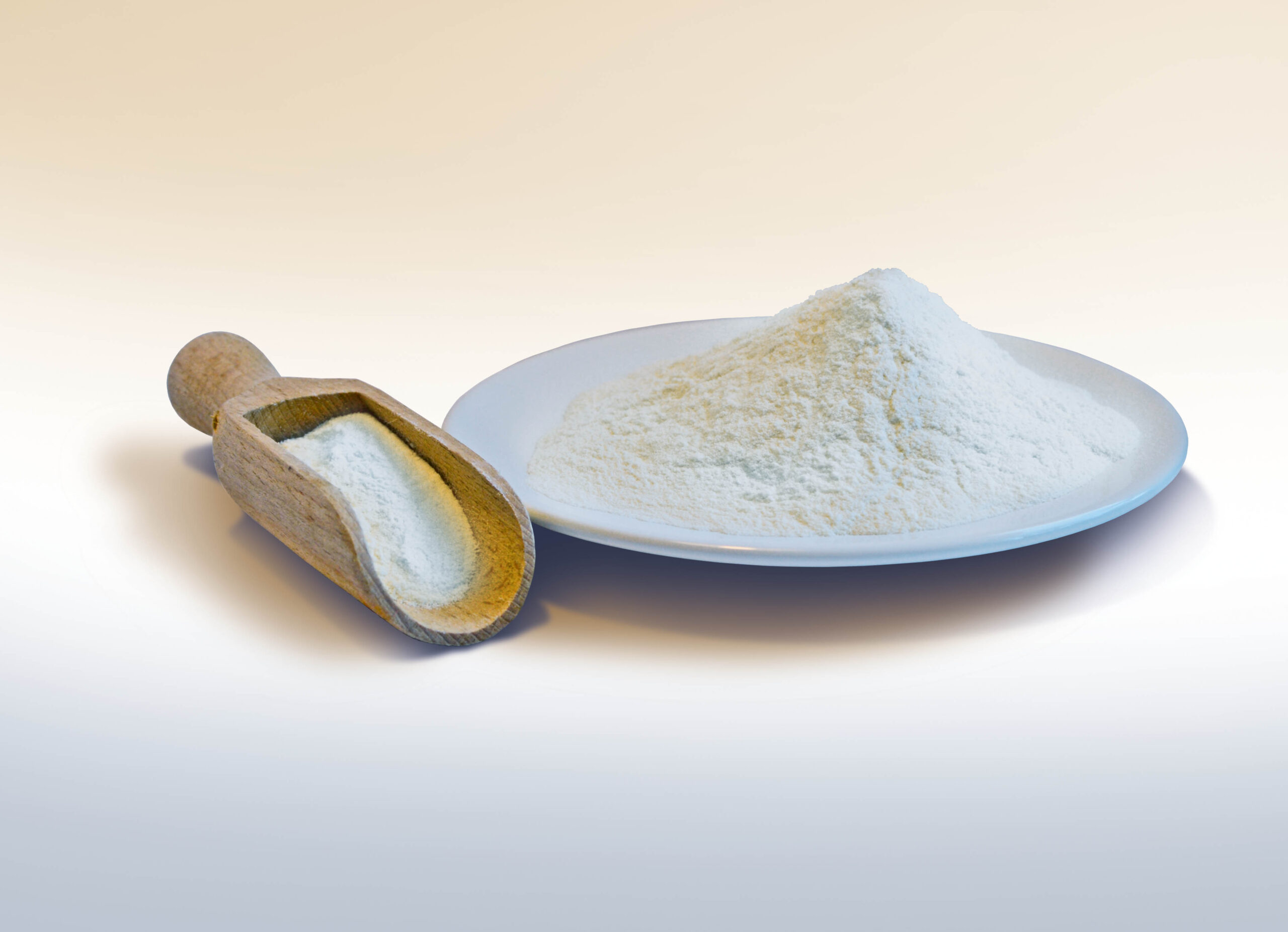Demineralized Whey Powder