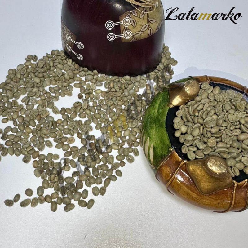 تامین کننده قهوه سبز عربیکا