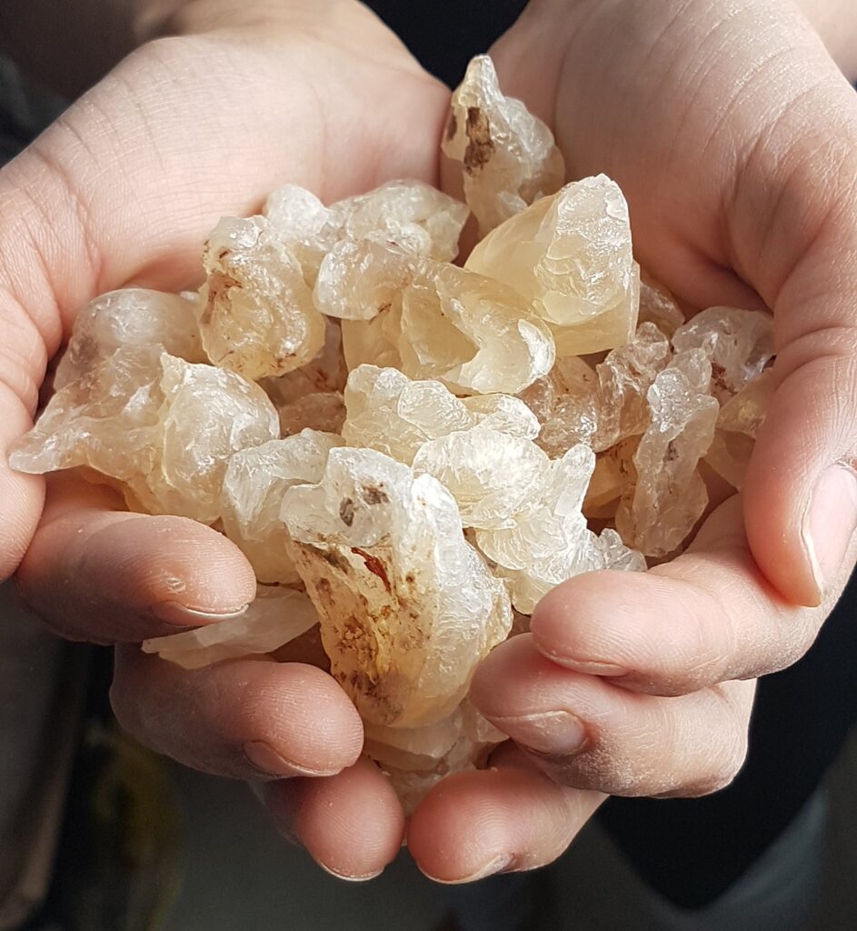Karaya Gum