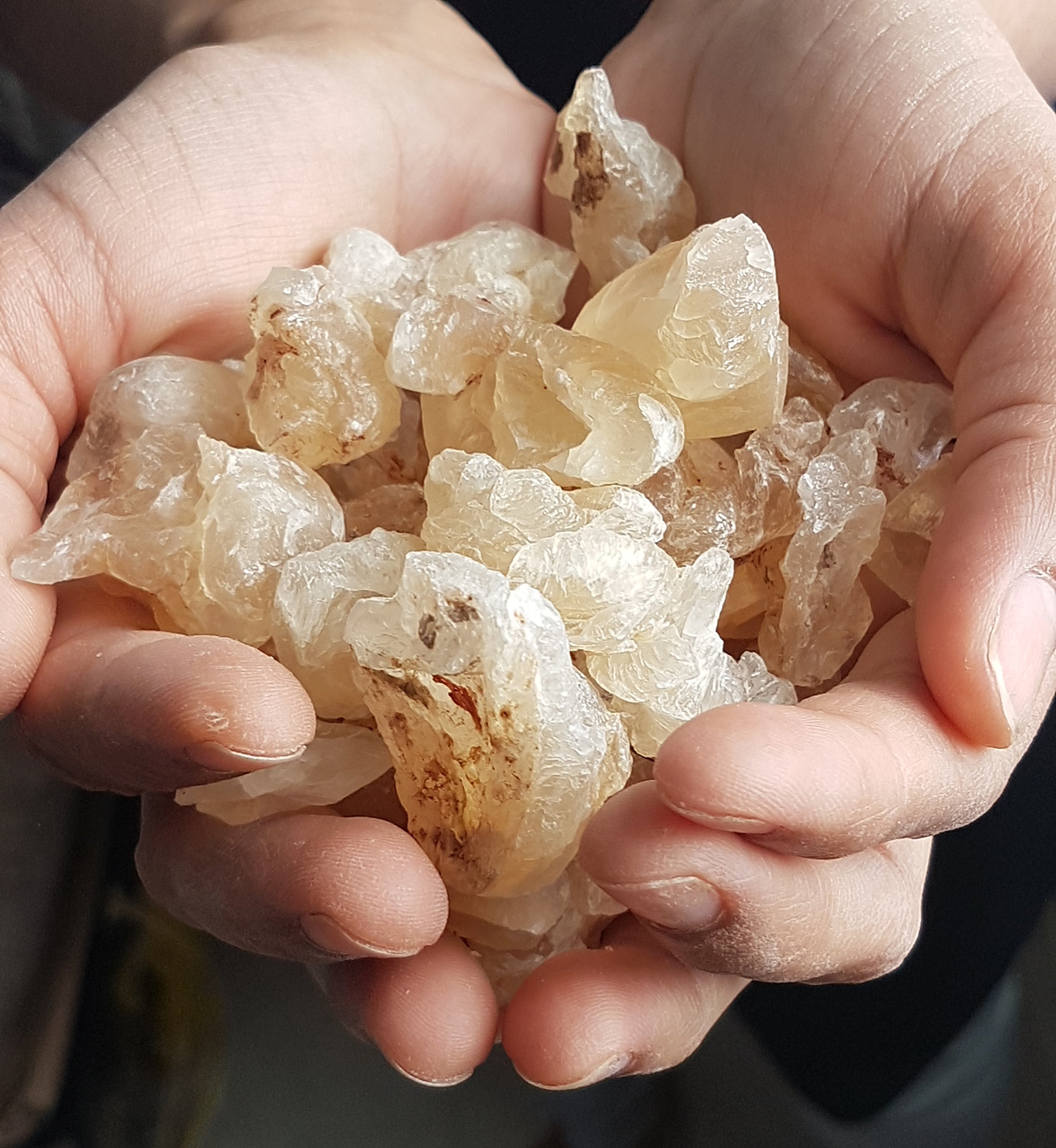 Karaya Gum