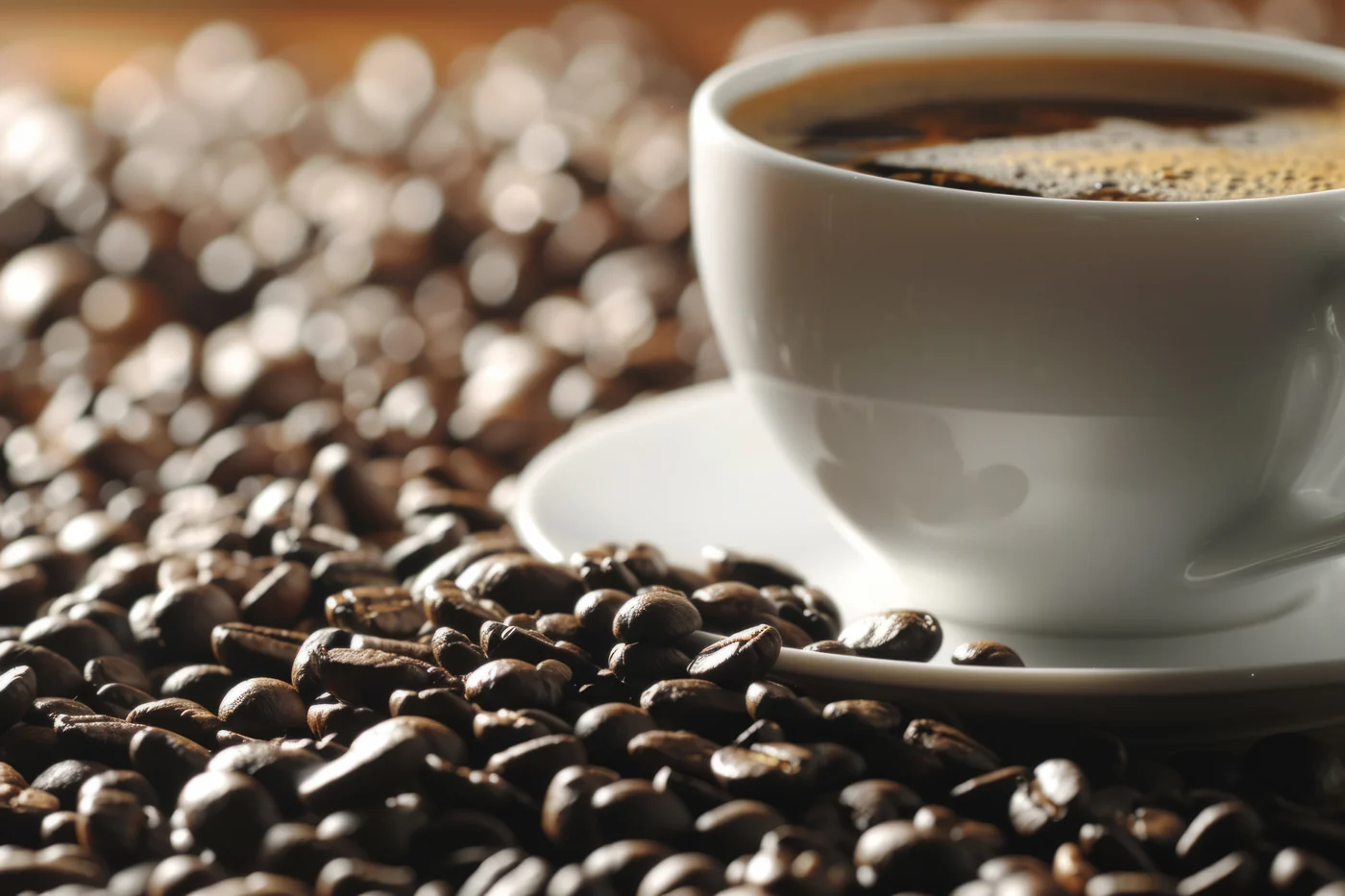Brazil Santos Coffee Review for Roasters