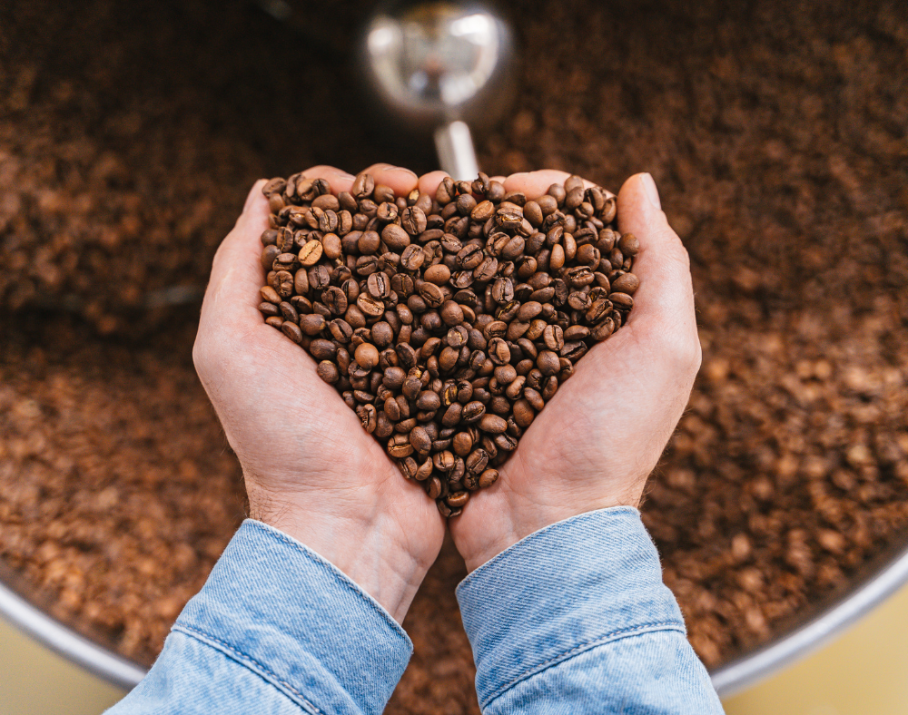 Brazil Santos Coffee Review for Roasters