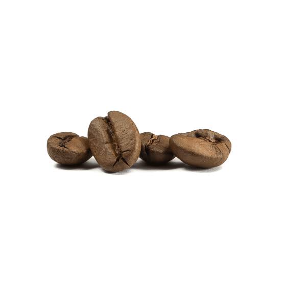 Brazil Santos Coffee