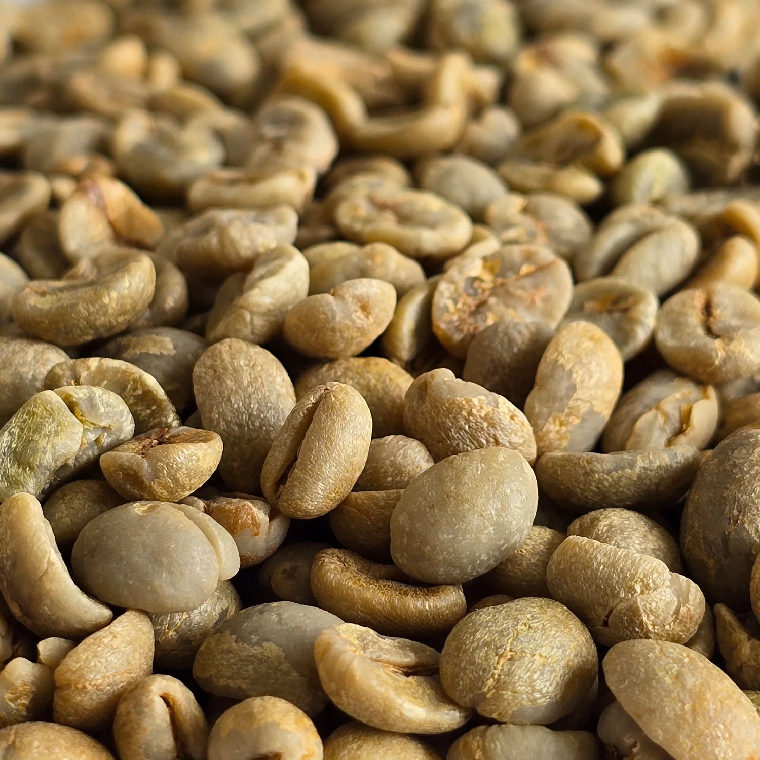 Brazilian Cerrado Green Coffee to Turkey