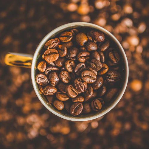 Brazilian Fazenda Coffee