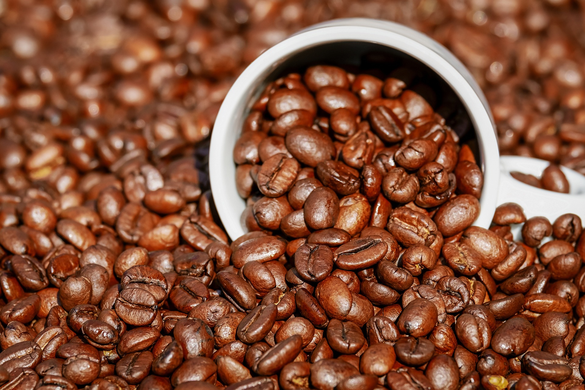 Brazilian coffee