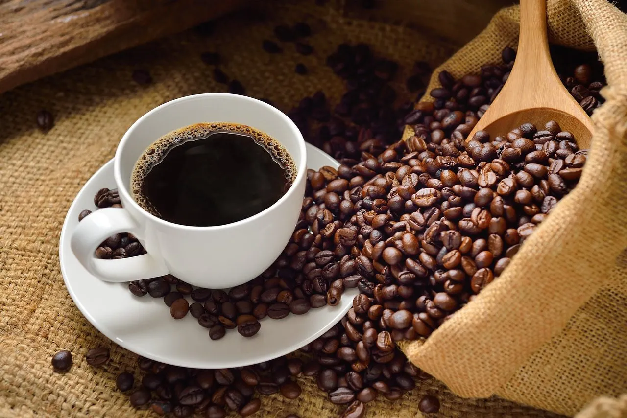 Buy Brazilian coffee Fazend
