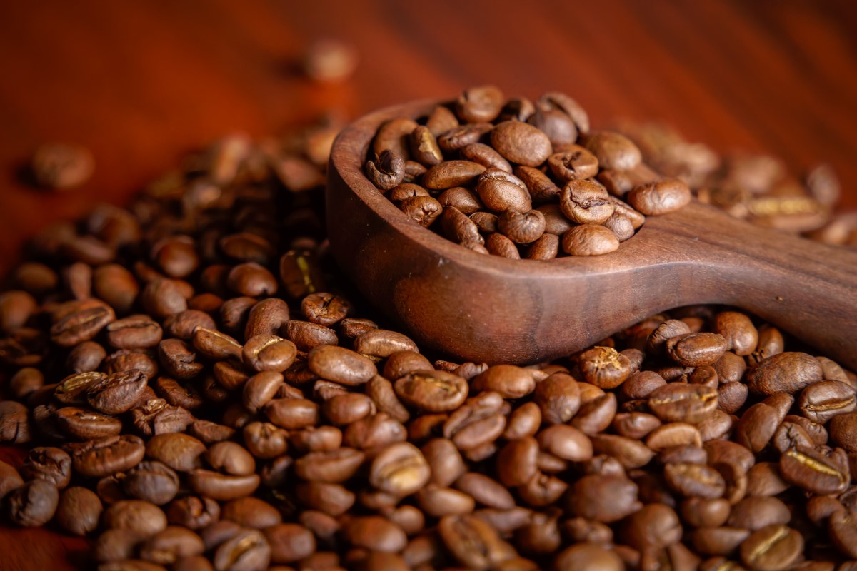 Buy Brazilian coffee Fazend