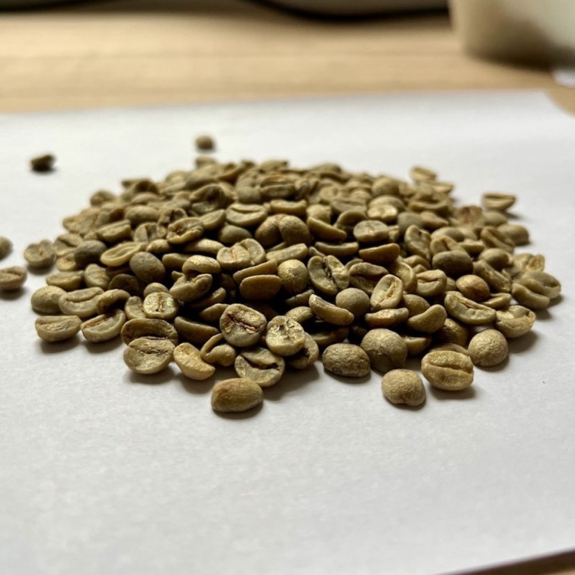 Buy Brazilian green coffee directly