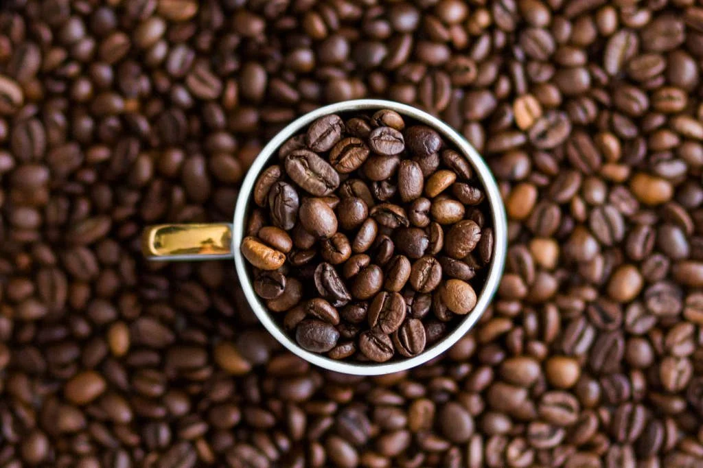 Buy Robusta coffee wholesale