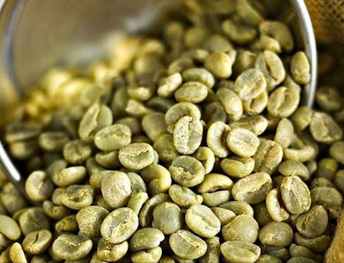 Buy a container of green Arabica coffee beans from MT ROYAL