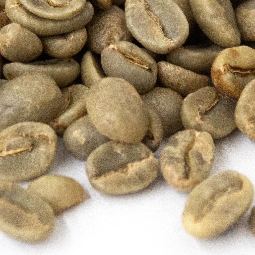 Buy wholesale green robusta coffee from Vietnam