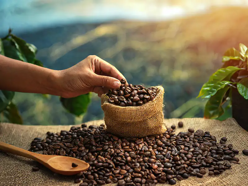 Cerrado Coffee