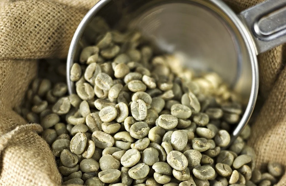 Coffee brands