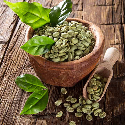 Difference in Screen Size in Green Coffee Beans