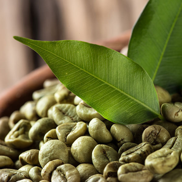 Difference in Screen Size in Green Coffee Beans