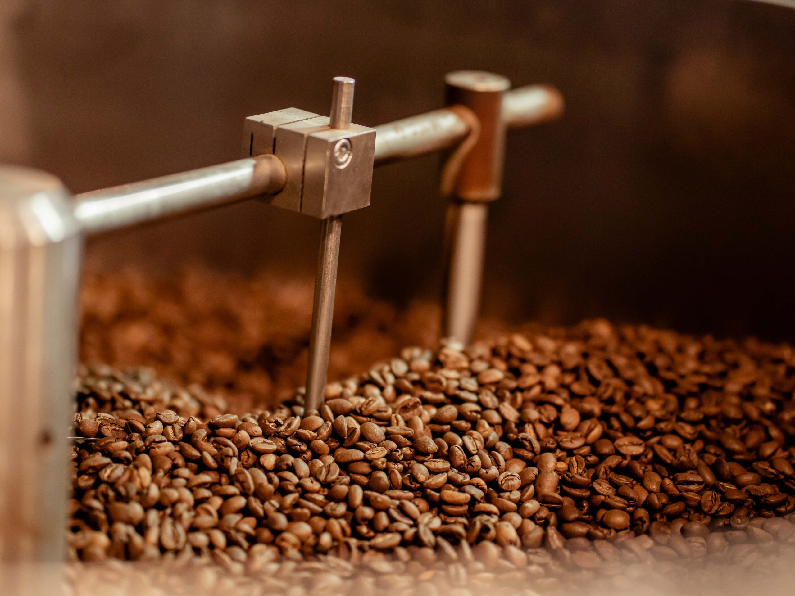 Green Coffee Buying Guide for Roasting