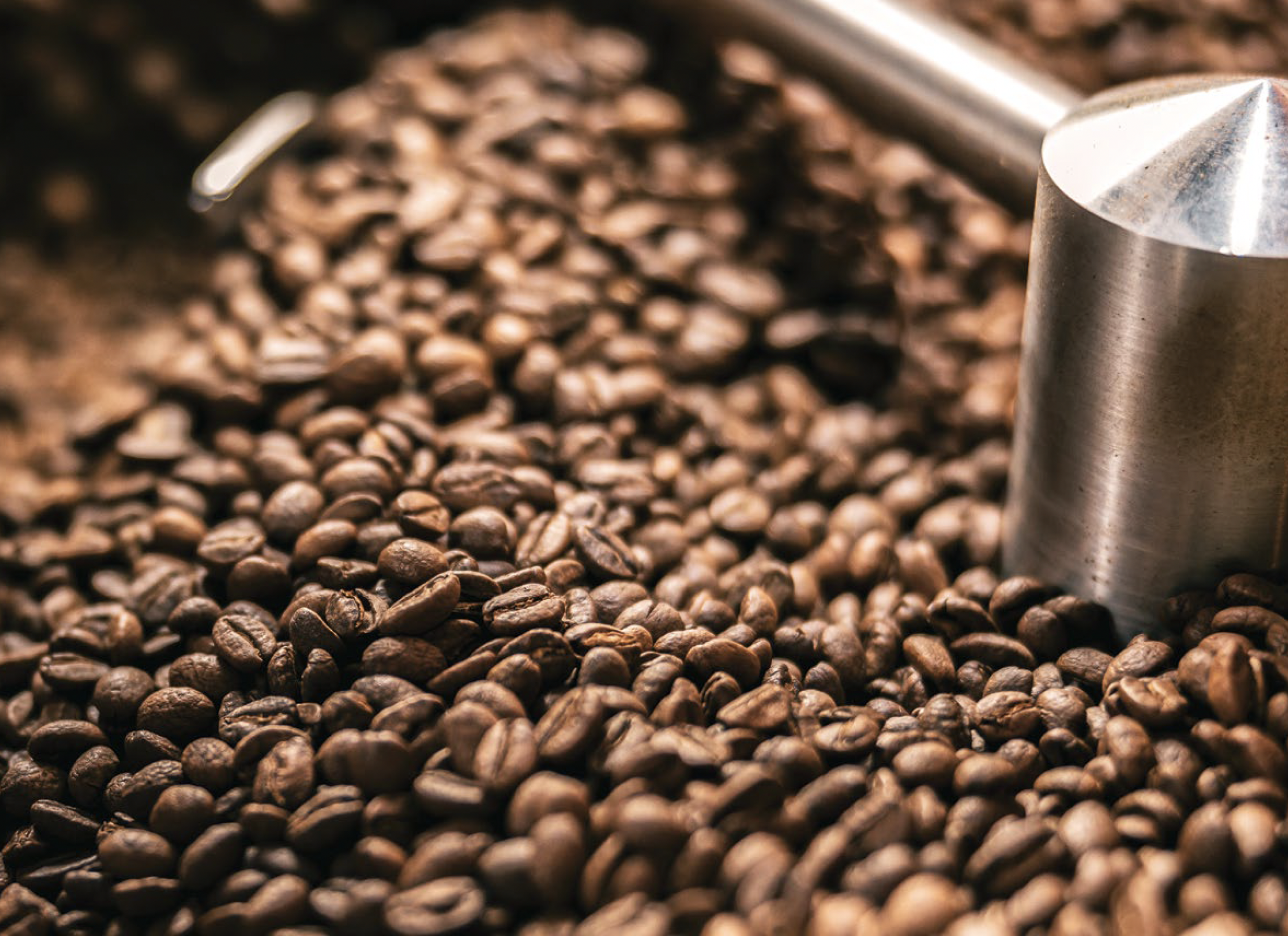 Green Coffee Buying Guide for Roasting