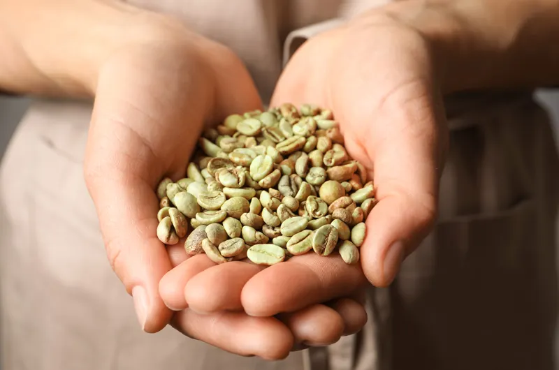 Green coffee bean cafe