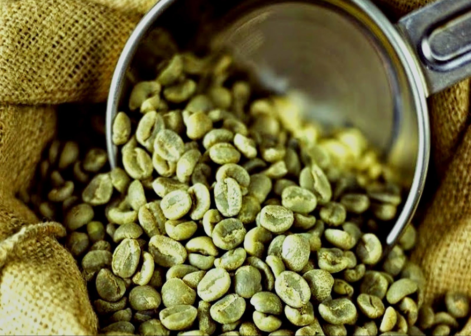 Green coffee bean cafe
