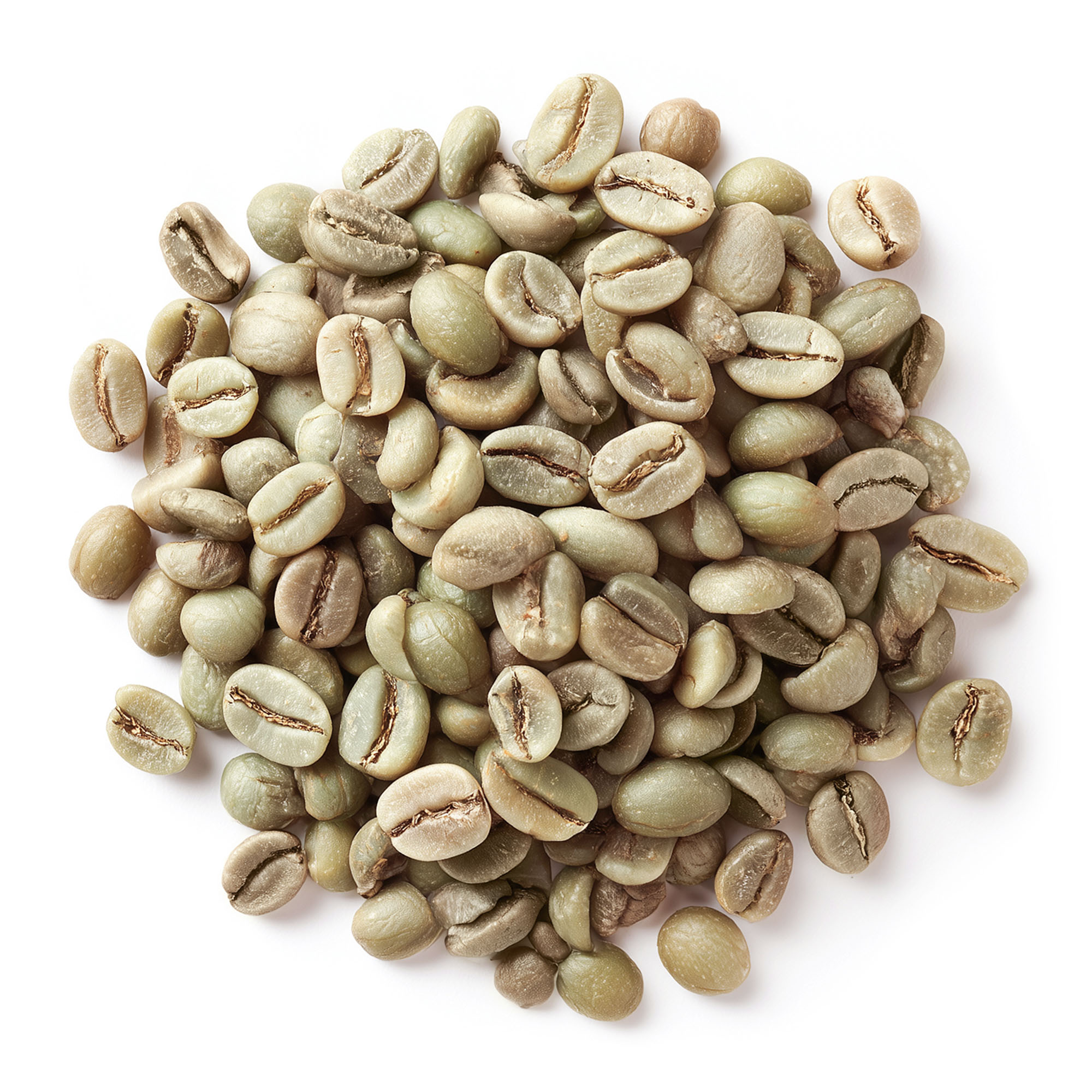 Green coffee bean supplier