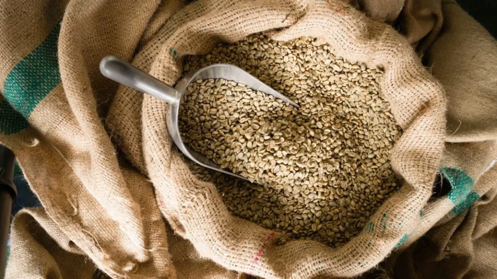 Green coffee beans