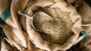 Green coffee beans