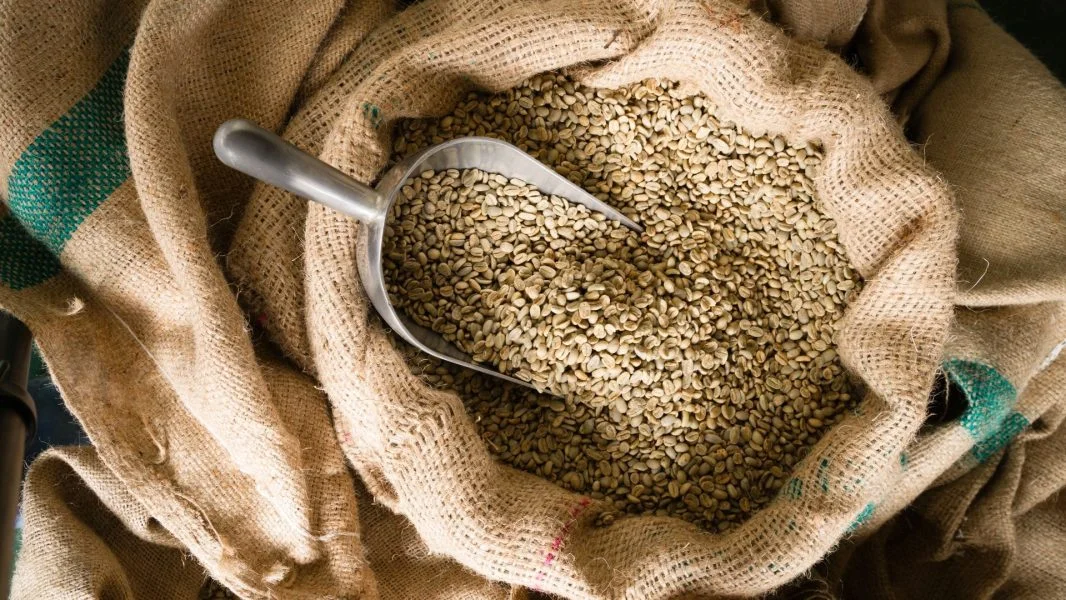 Green coffee beans