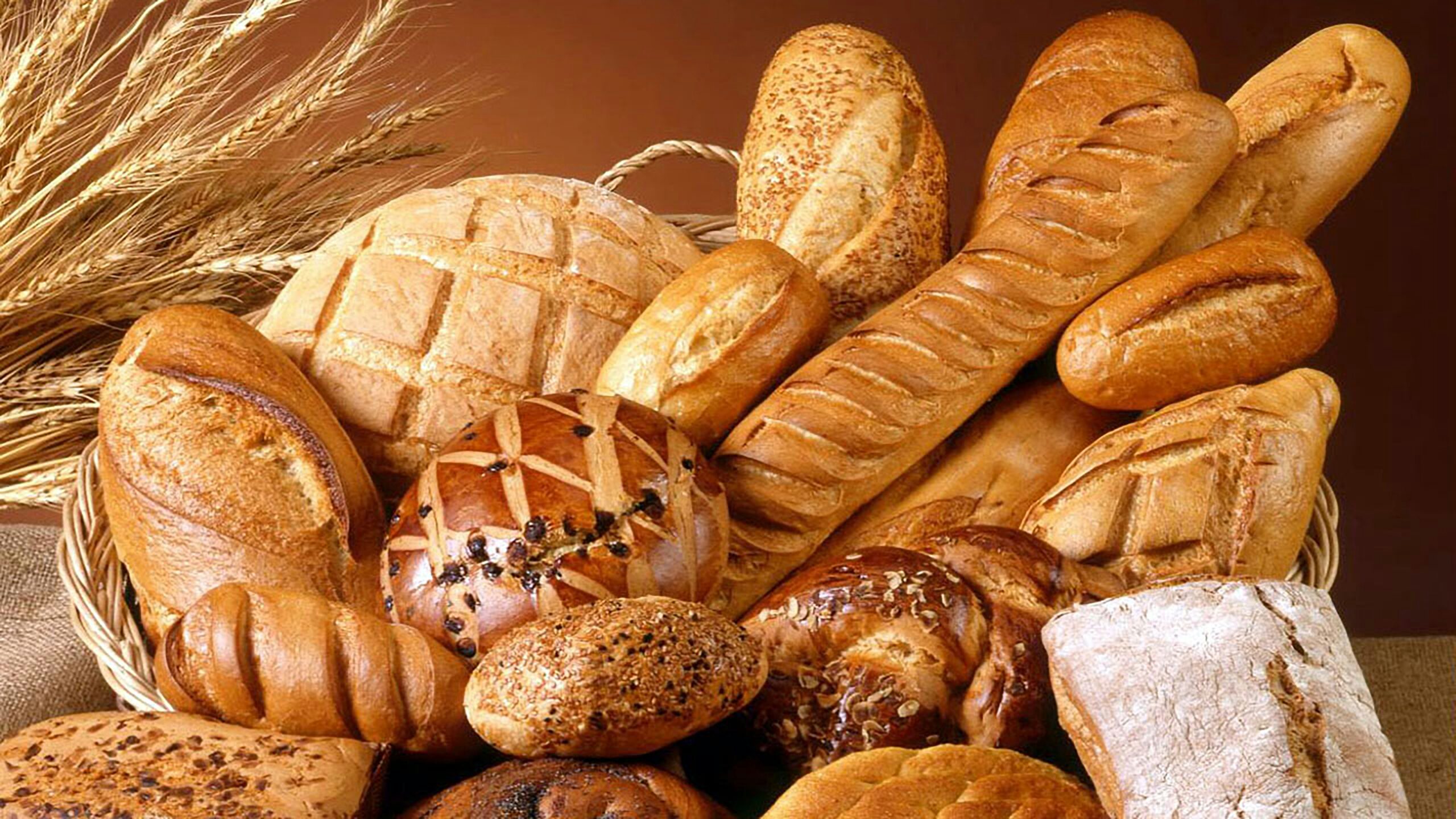 Wholesale price of Baker Master