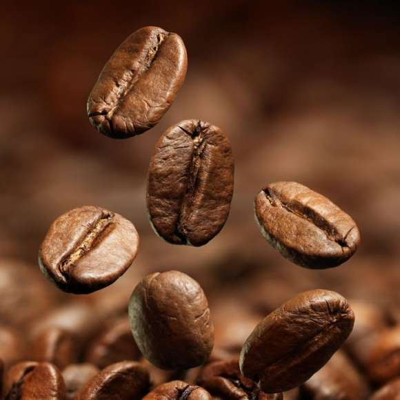 Import of Brazilian Arabica coffee
