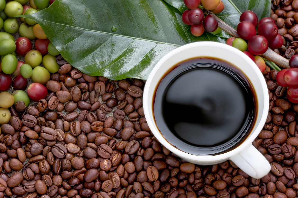 Importing raw coffee beans