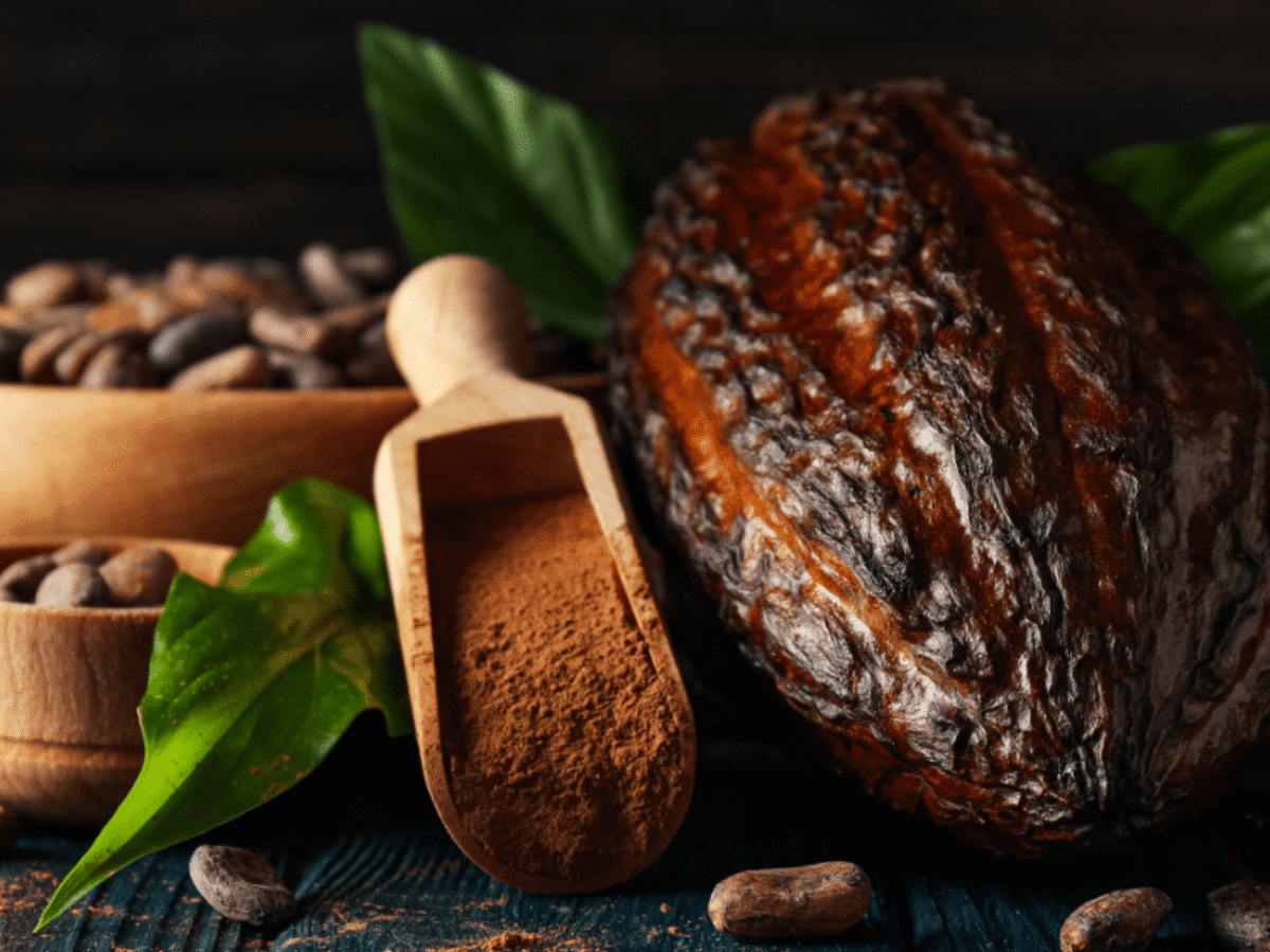 Natural or alkalized cocoa powder
