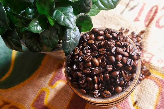 Santos Brazil Green Coffee
