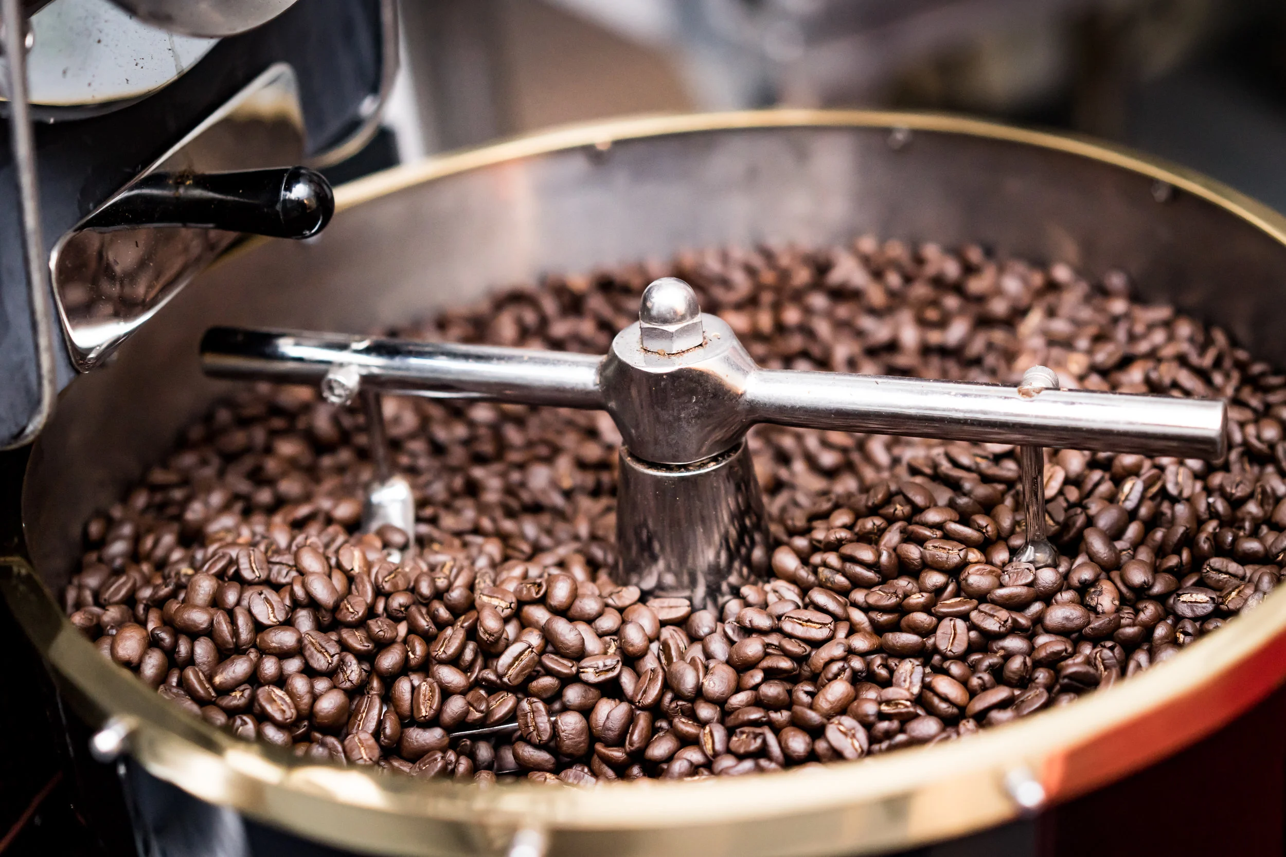 Specialty coffee importer